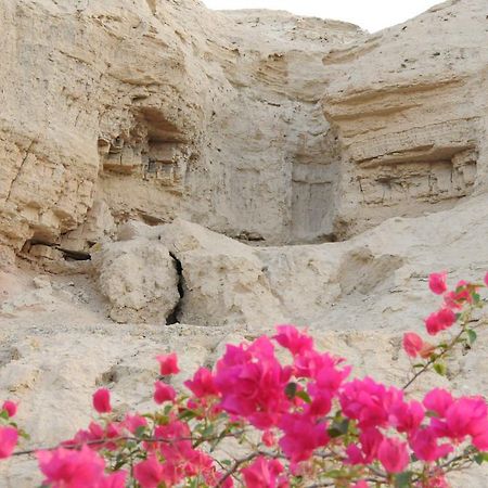 Dead Sea Dawn Villa Neot HaKikar Dış mekan fotoğraf