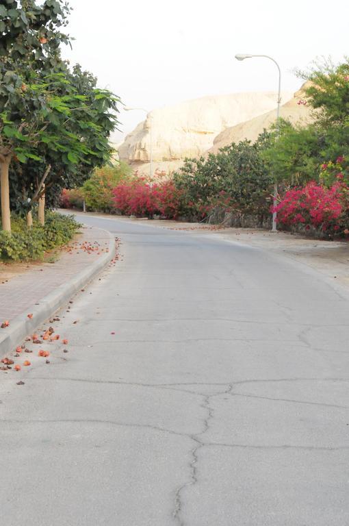 Dead Sea Dawn Villa Neot HaKikar Dış mekan fotoğraf
