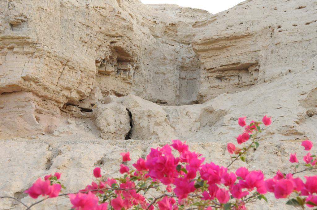 Dead Sea Dawn Villa Neot HaKikar Dış mekan fotoğraf